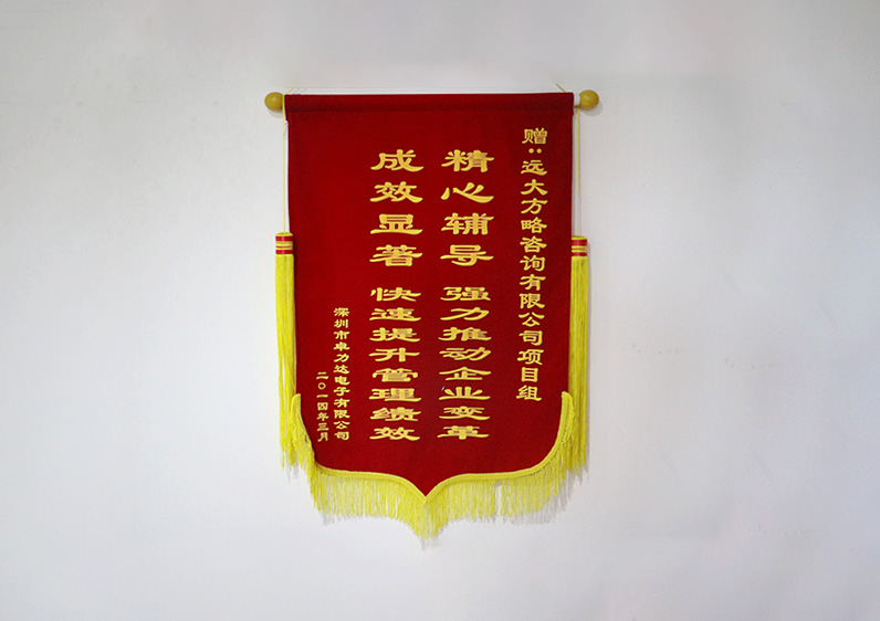 精心輔導，強力推動企業(yè)變革